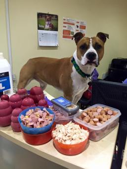 In the dictionary, beside the definition for "self-control"