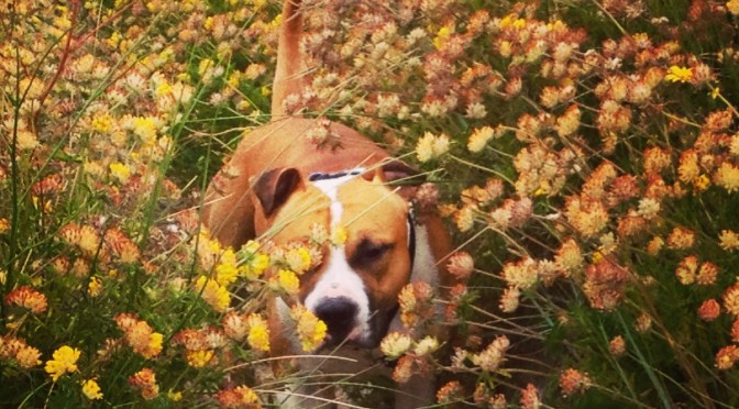 Before  we start with our first game…