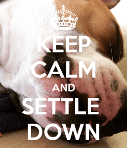 keep-calm-and-settle-down-58