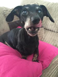 12670164_10153322048782256_844672231278815989_n