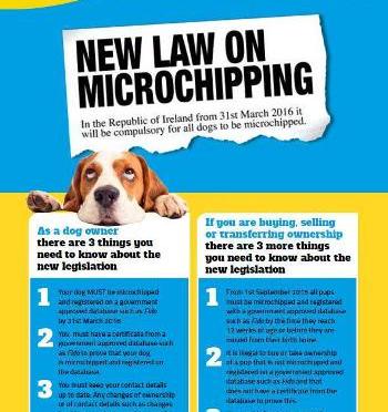 Microchipping
