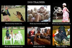 Dog-Trainer