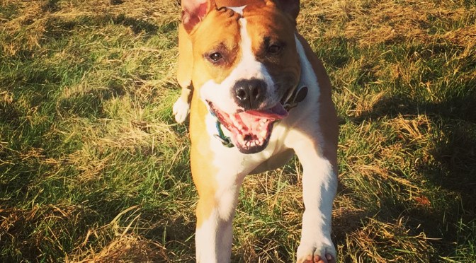 Everything is a choice, but is choice everything?