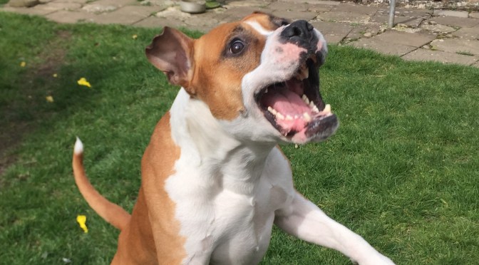 Somewhere in between