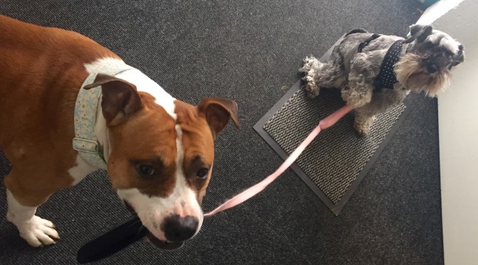 Think Outside the Food Bowl, Part 3