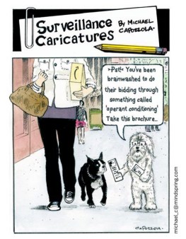 110410-450x580-surveillance