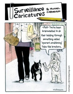 110410-450x580-surveillance