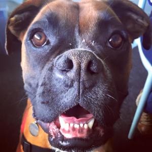 12417562_980733735314090_2082036033142845370_n