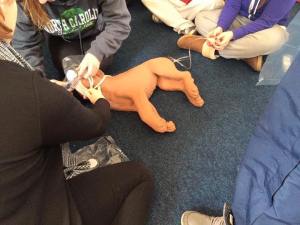 13043436_989946251059505_5272723466992739763_n