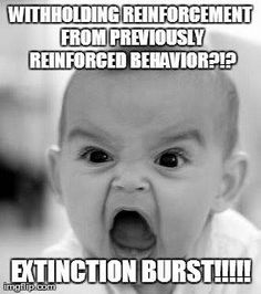 c03819af1e18482ea695f800554bbf63