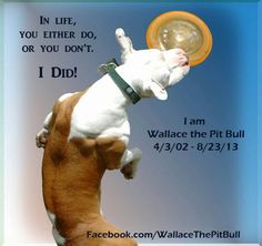 11f2976c639f5d6b18547db0e3cb9134