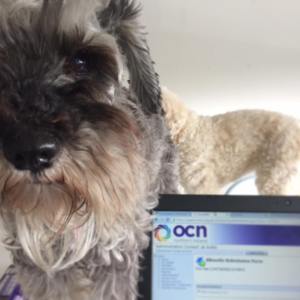 13164447_1001739413213522_4434720562248498615_n