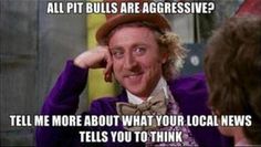 5148b018bfa13f73cbb537bb5d5f0d1d