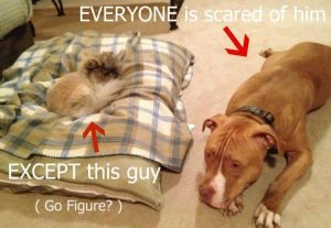 a06ffef41eaaba326269652fb2b9ca9d