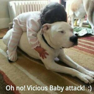 c138d03d9d7b5ea96746fc8ddb650f9d