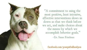 e570b07396e5e1cfad02da07d6b70886