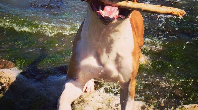 Upcoming Continuing Education Events