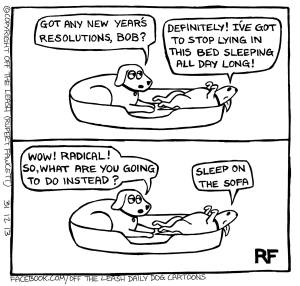 15724803_1200332223376313_3255529298041333916_o