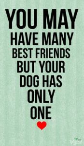 fdff8f0a2d172bed143329b4ee37faa9