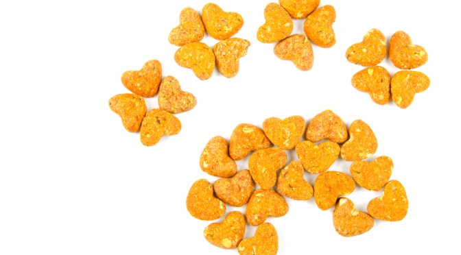 The Skinny on Using Food in Training