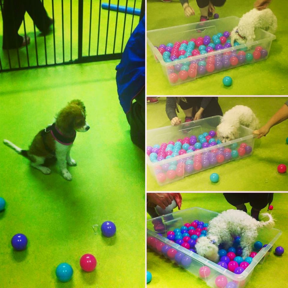 20170921_120602512_iOS