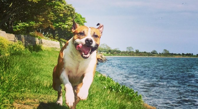 Crazy2Calm class – STARTING SOON!