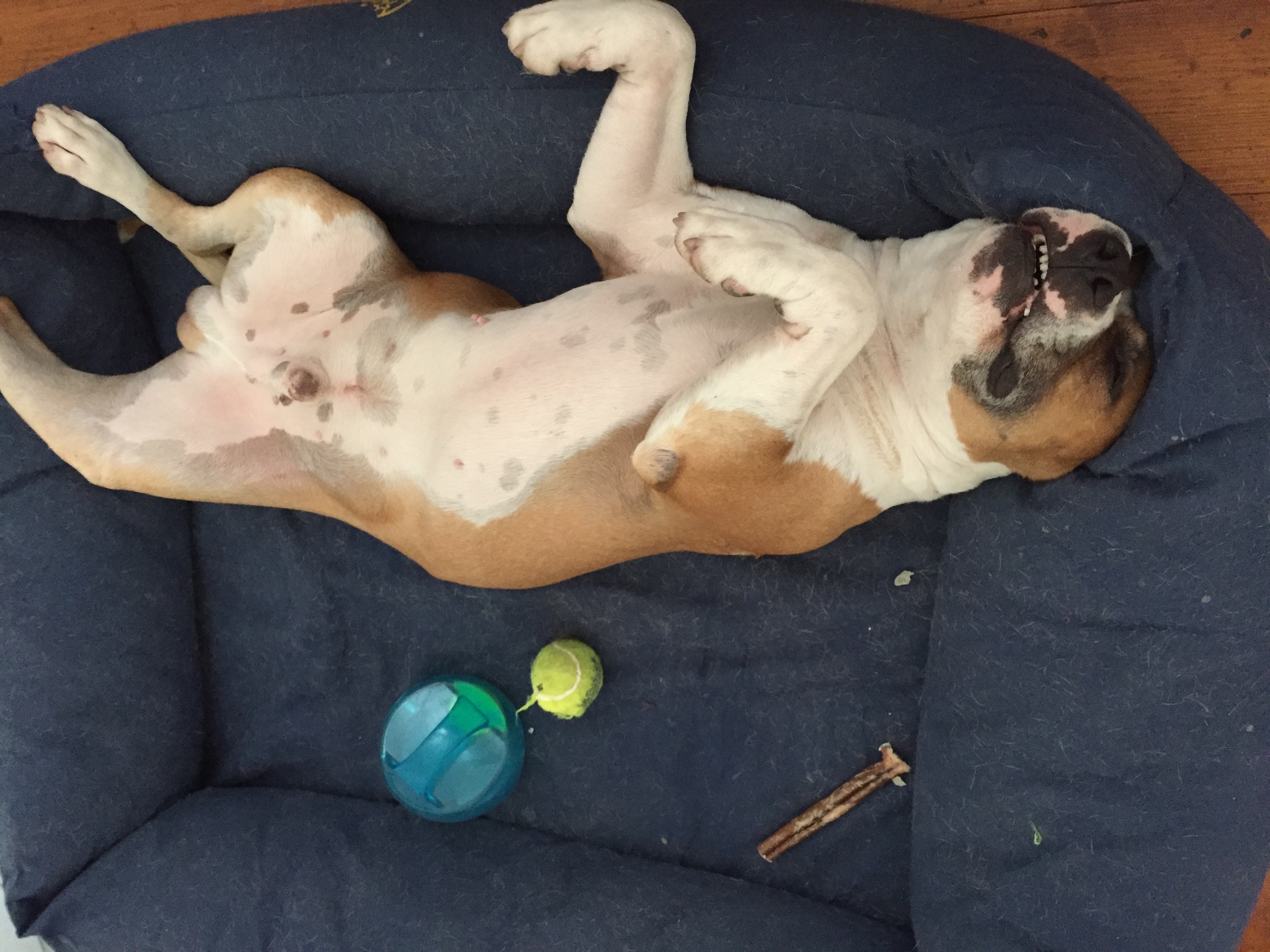 20170629_101103863_ios