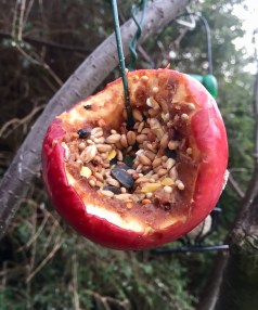 20190105_103341561_ios