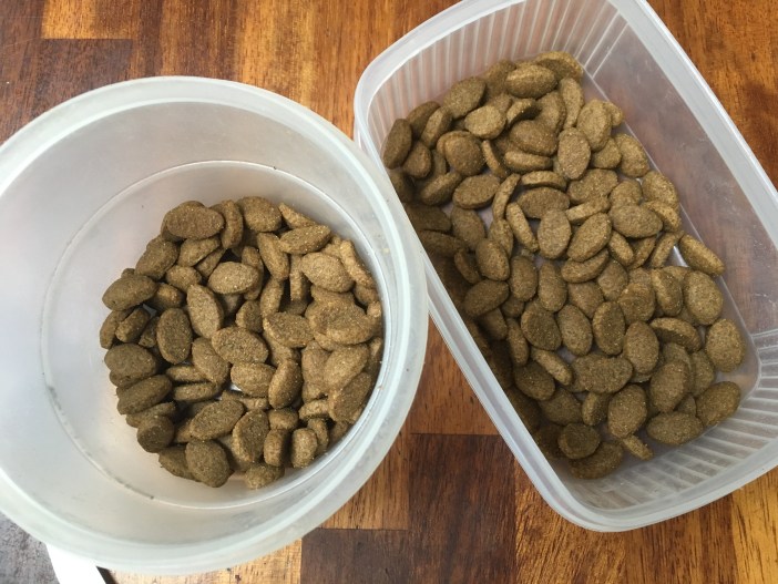 20190105_121250580_ios