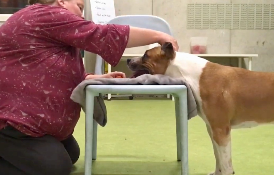 20190107_225444000_ios 1