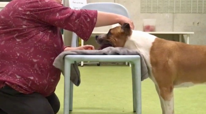 Day 3: Handling & Husbandry – handling comfort