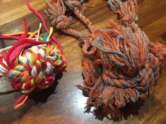 20190116_200348280_ios