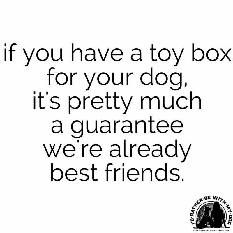 20190225_110147441_iOS