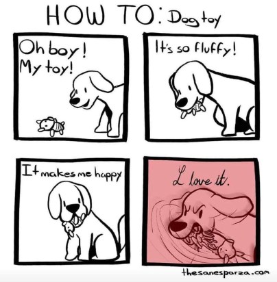 20190226_144140607_iOS