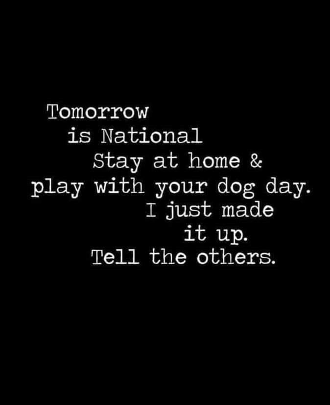 20190227_195429732_iOS