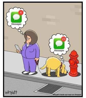 35087350_221929378411866_3632977737490104320_n