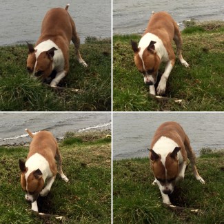 20190204_212900238_iOS