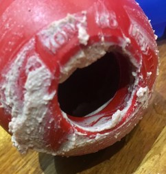 20190211_203207362_iOS