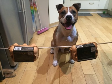 20190227_225647202_iOS