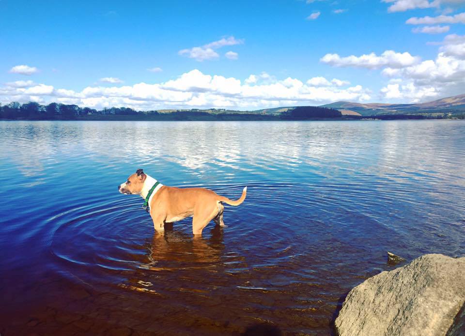 9575_1232224436804887_3514164251266879710_n