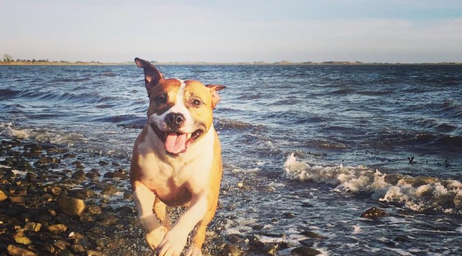 Day 56 Sunday Fun day!