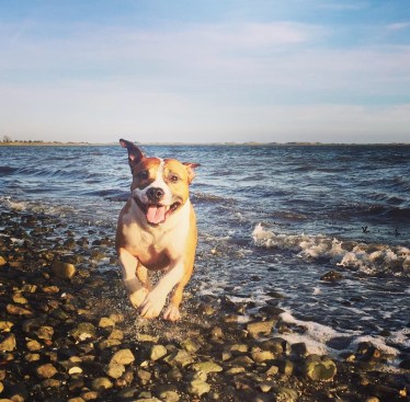 20190214_200326014_iOS