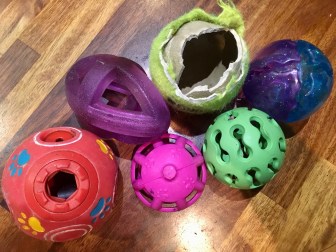 20190318_221417207_iOS