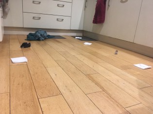 20190327_221435820_iOS