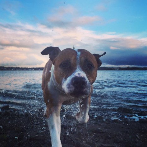 20190316_180315990_iOS