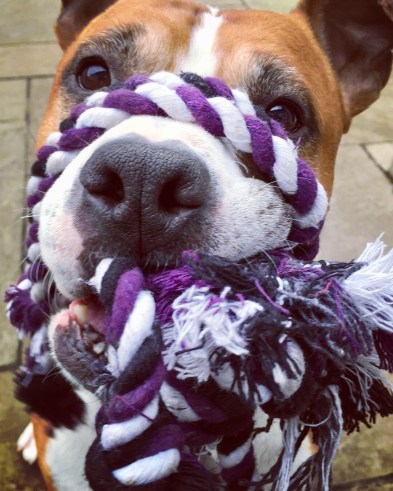 20190320_171108629_iOS