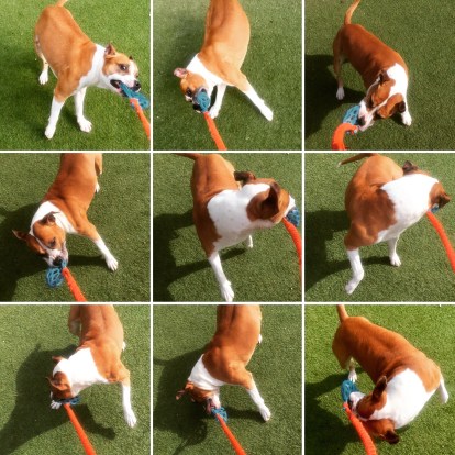 20190328_010310778_iOS