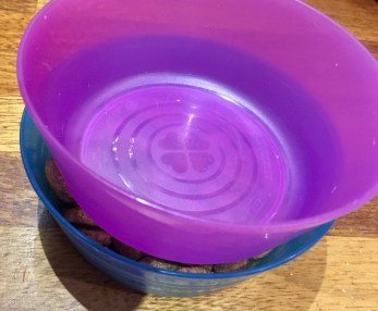 20190402_210452048_iOS