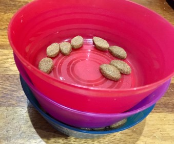 20190402_210533065_iOS