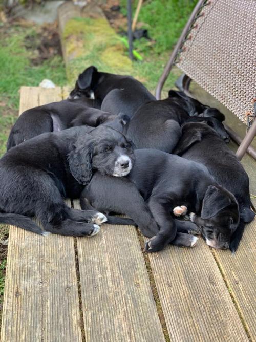 20190422_140239340_iOS